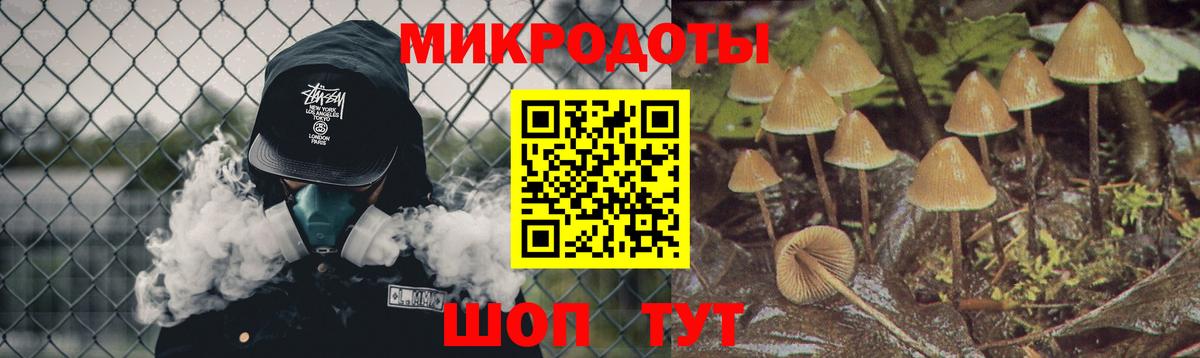 Тавда  Галлюциногенные грибы Cubensis  Вход с VPN 