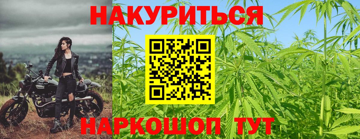 Каннабис Ganja Тавда